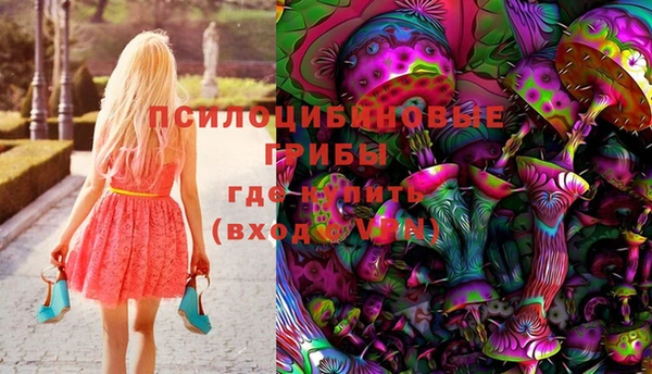 прущая мука Богородицк